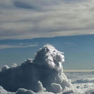 Meet your Posher, Harold